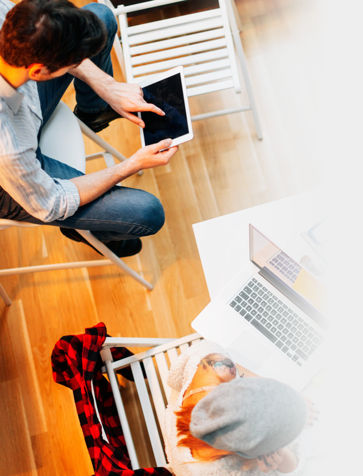 Web Design Company Australia