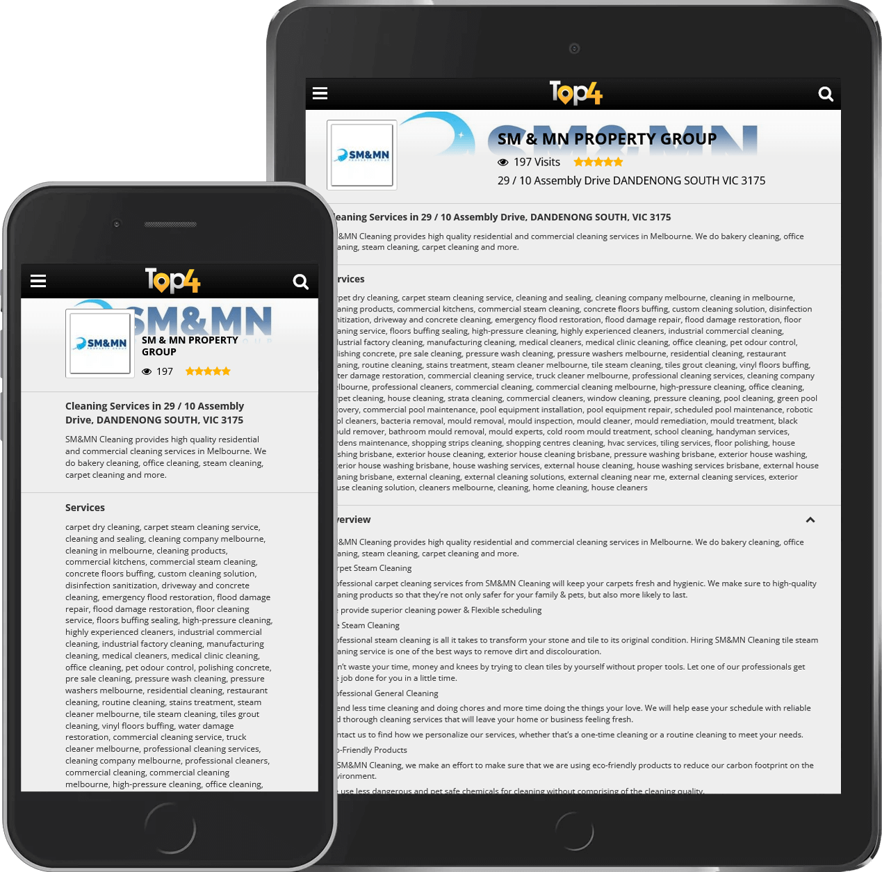 http://SMMN-Property-SEO-Service-5