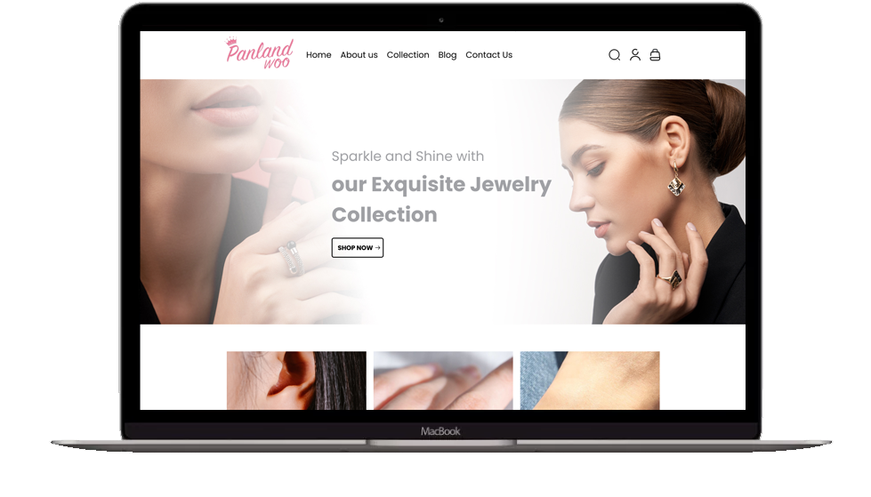 http://Website%20Development%20-%20Panlandwoo