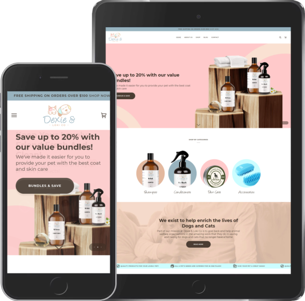 http://Website%20Development%20-%20Dexie&%20Loki