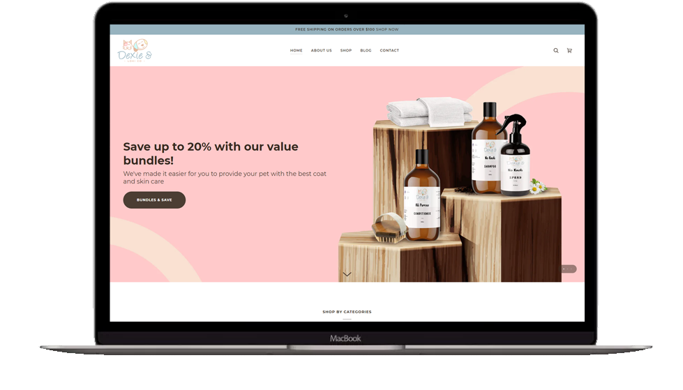 http://Website%20Development%20-%20Dexie&%20Loki