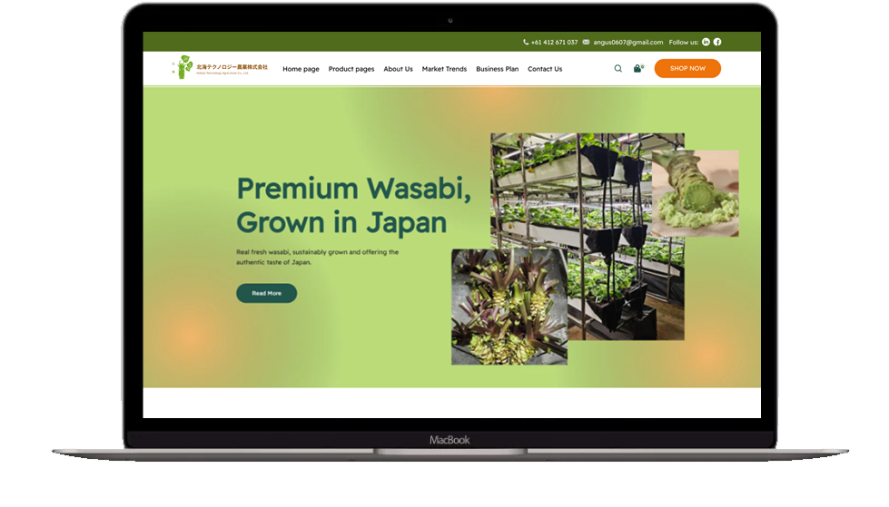 http://Wasabi%20Hokkaitech%20-%20Website%20Development
