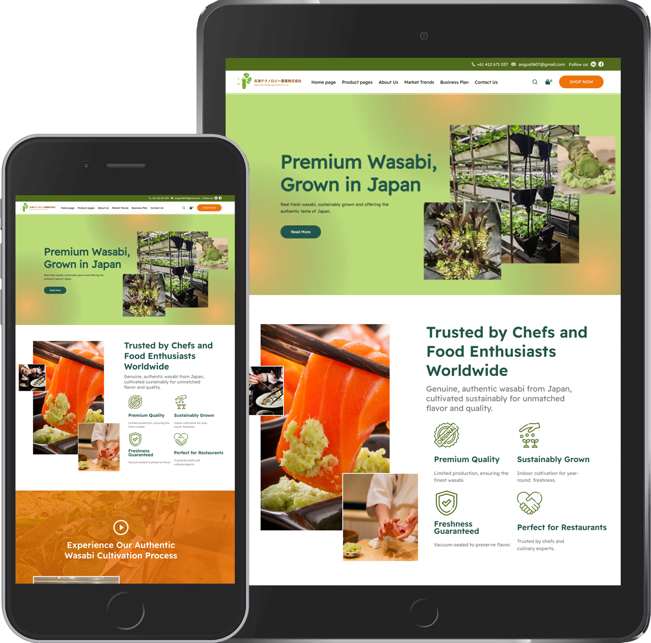 http://Wasabi%20Hokkaitech%20-%20Website%20Development